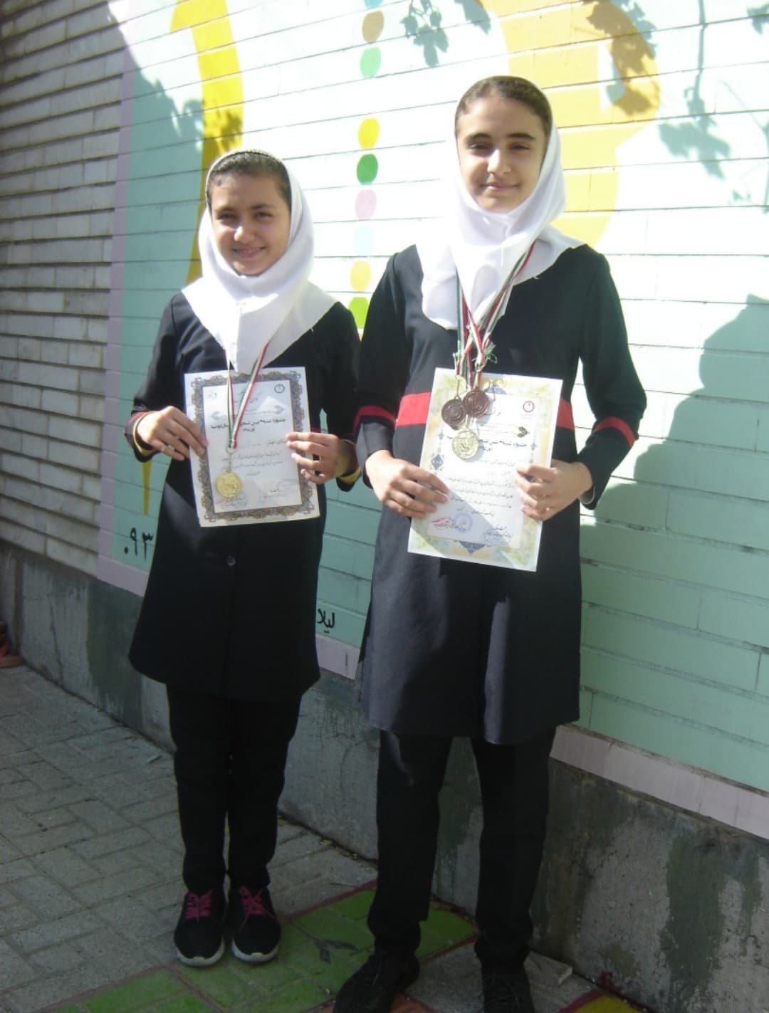 حکم قهرمانی در جشنواره شنا 